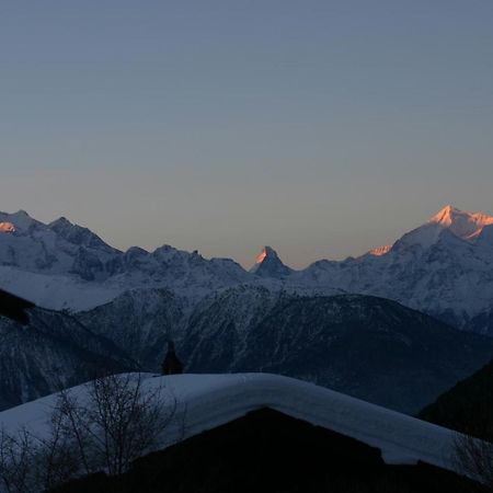 Chalet Alpina Riederalp Exterior photo